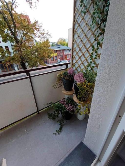 Apartament Podgorna 19 Appartement Stary Toruń Buitenkant foto